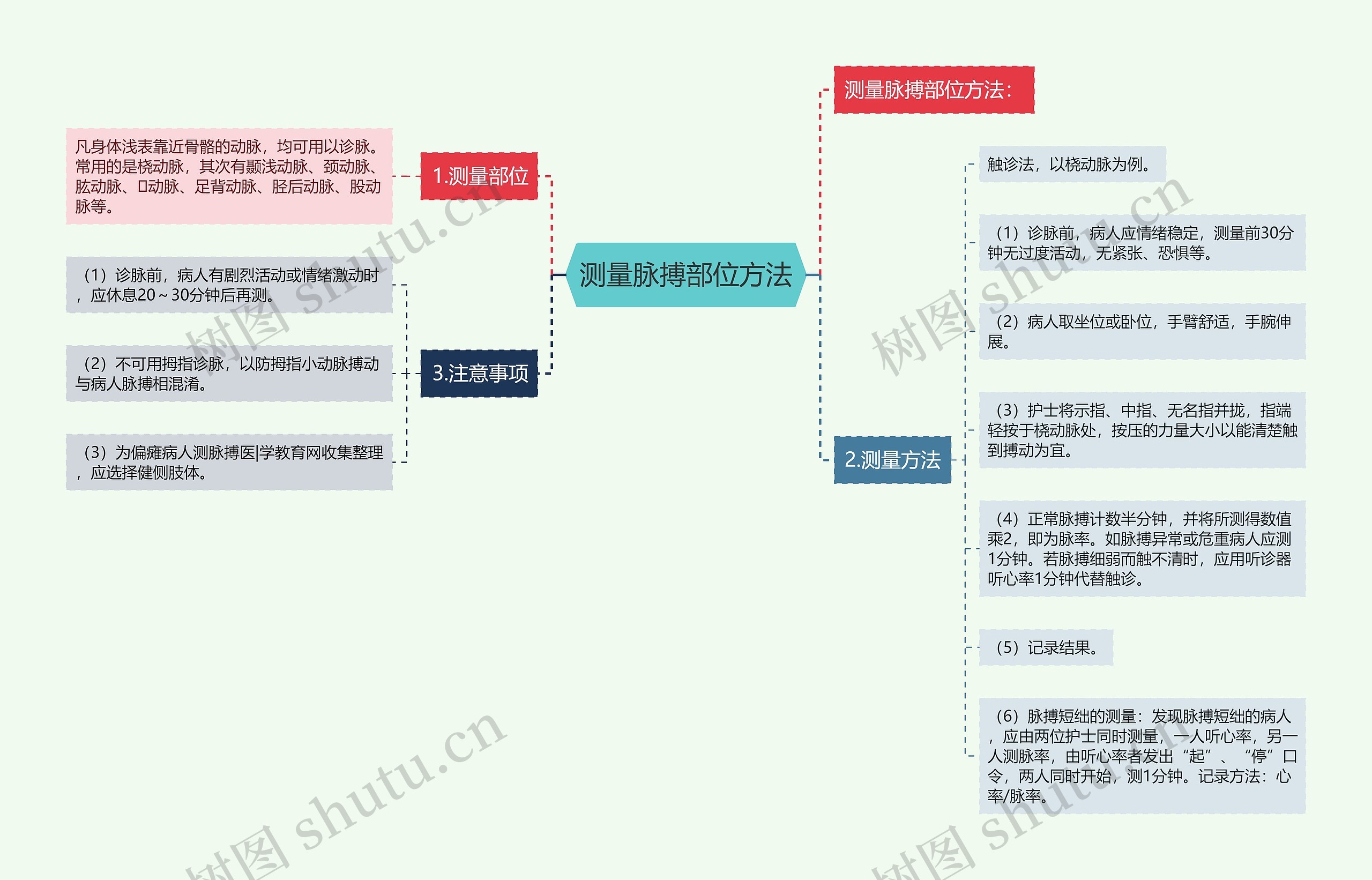 测量脉搏部位方法思维导图