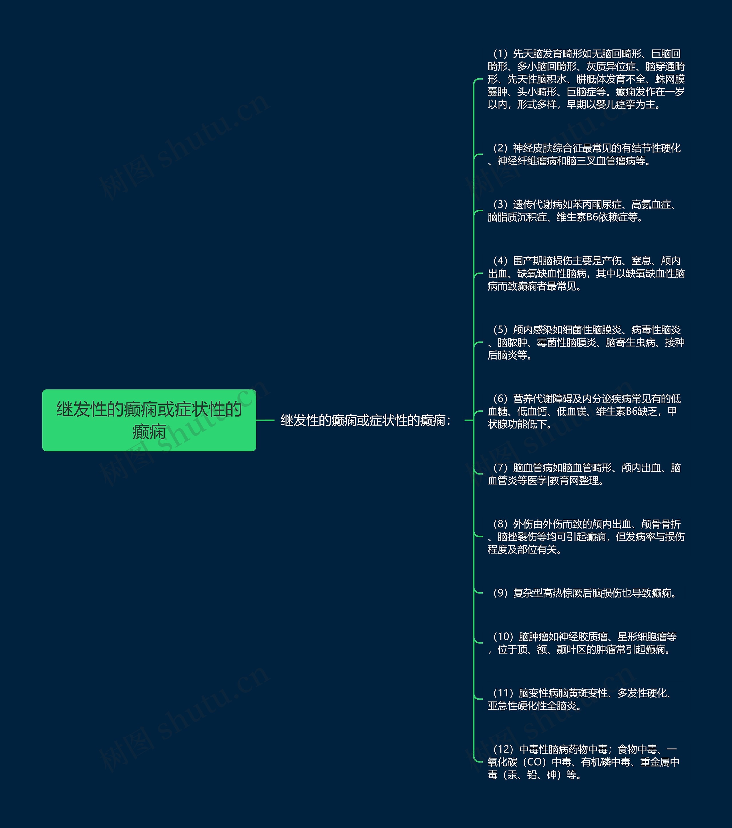 继发性的癫痫或症状性的癫痫思维导图