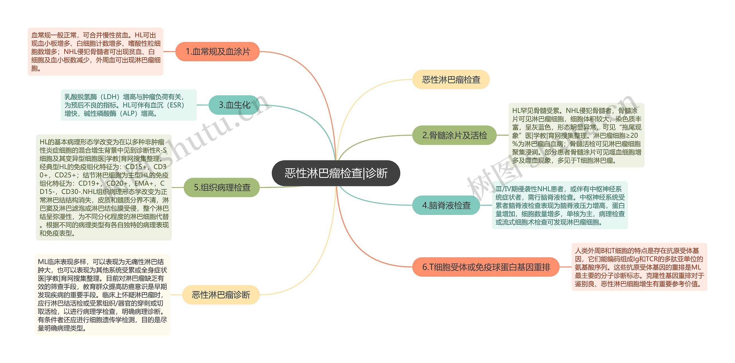 恶性淋巴瘤检查|诊断思维导图