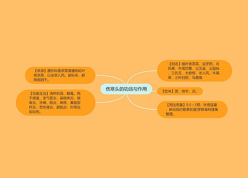 伤寒头的功效与作用