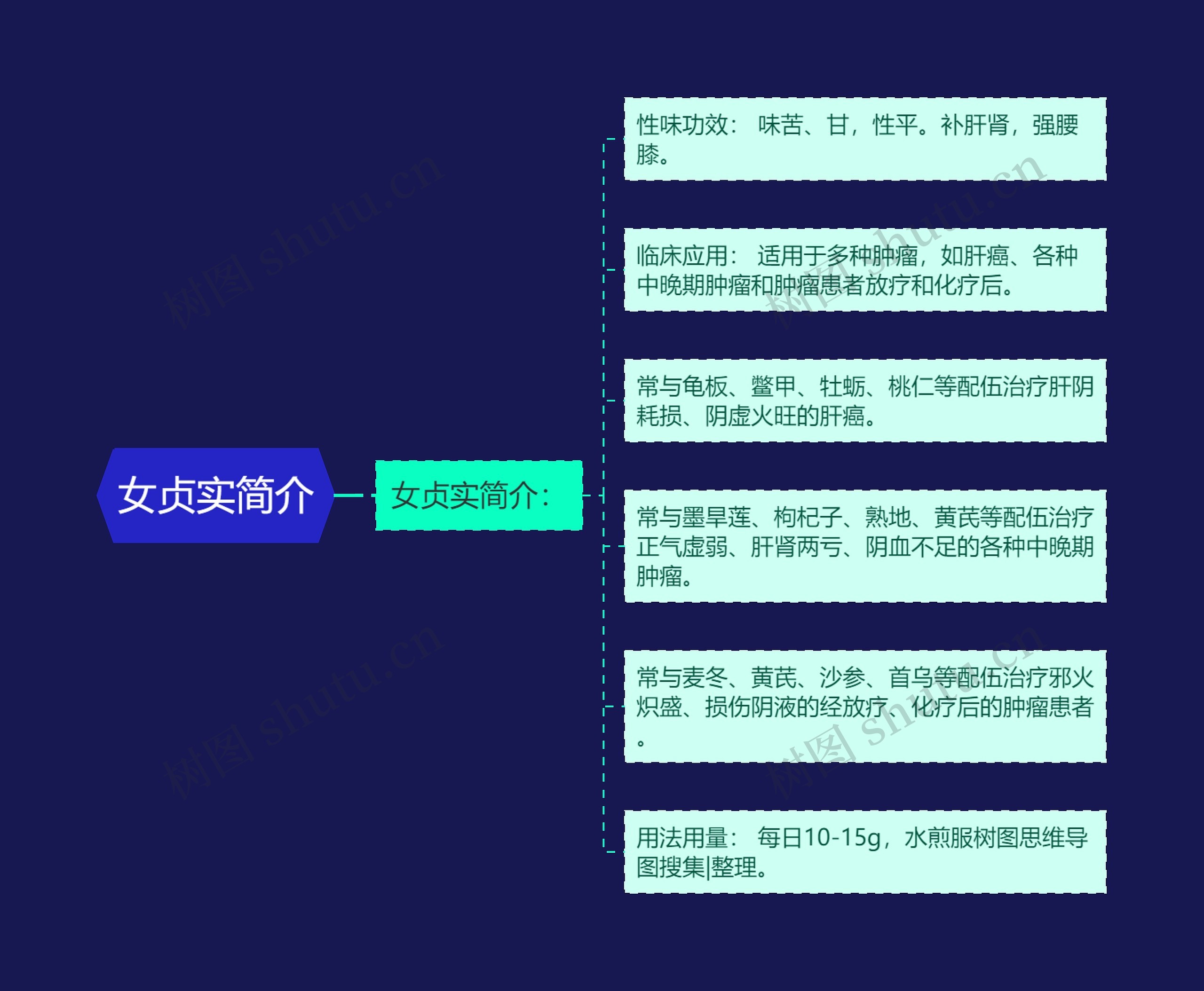 女贞实简介 女贞实简介