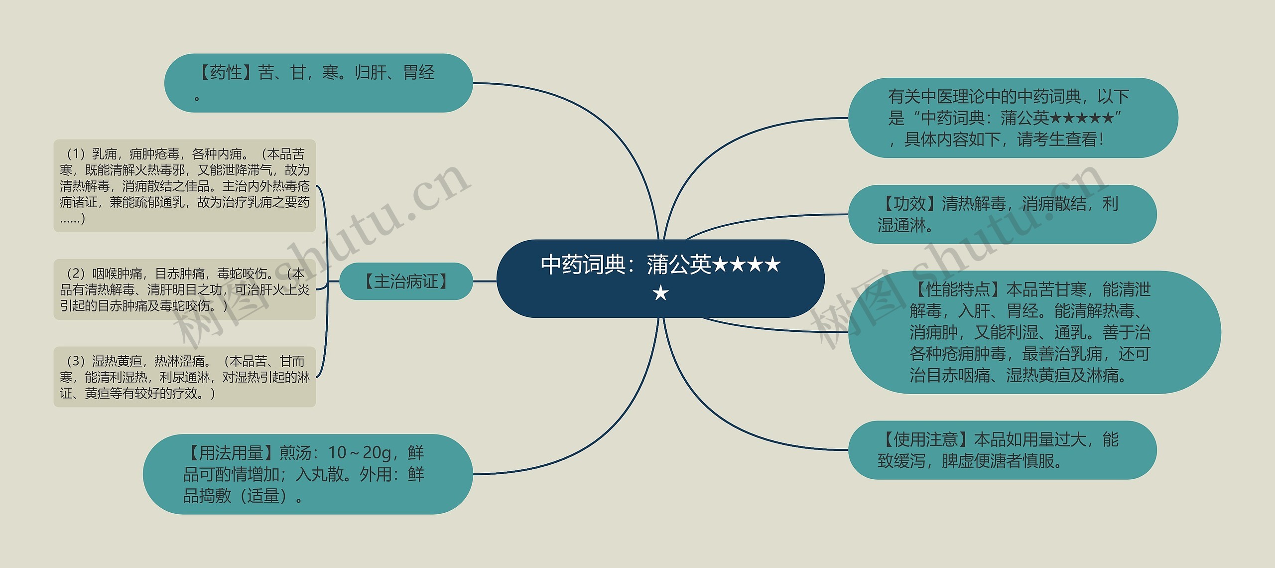 中药词典：蒲公英★★★★★思维导图