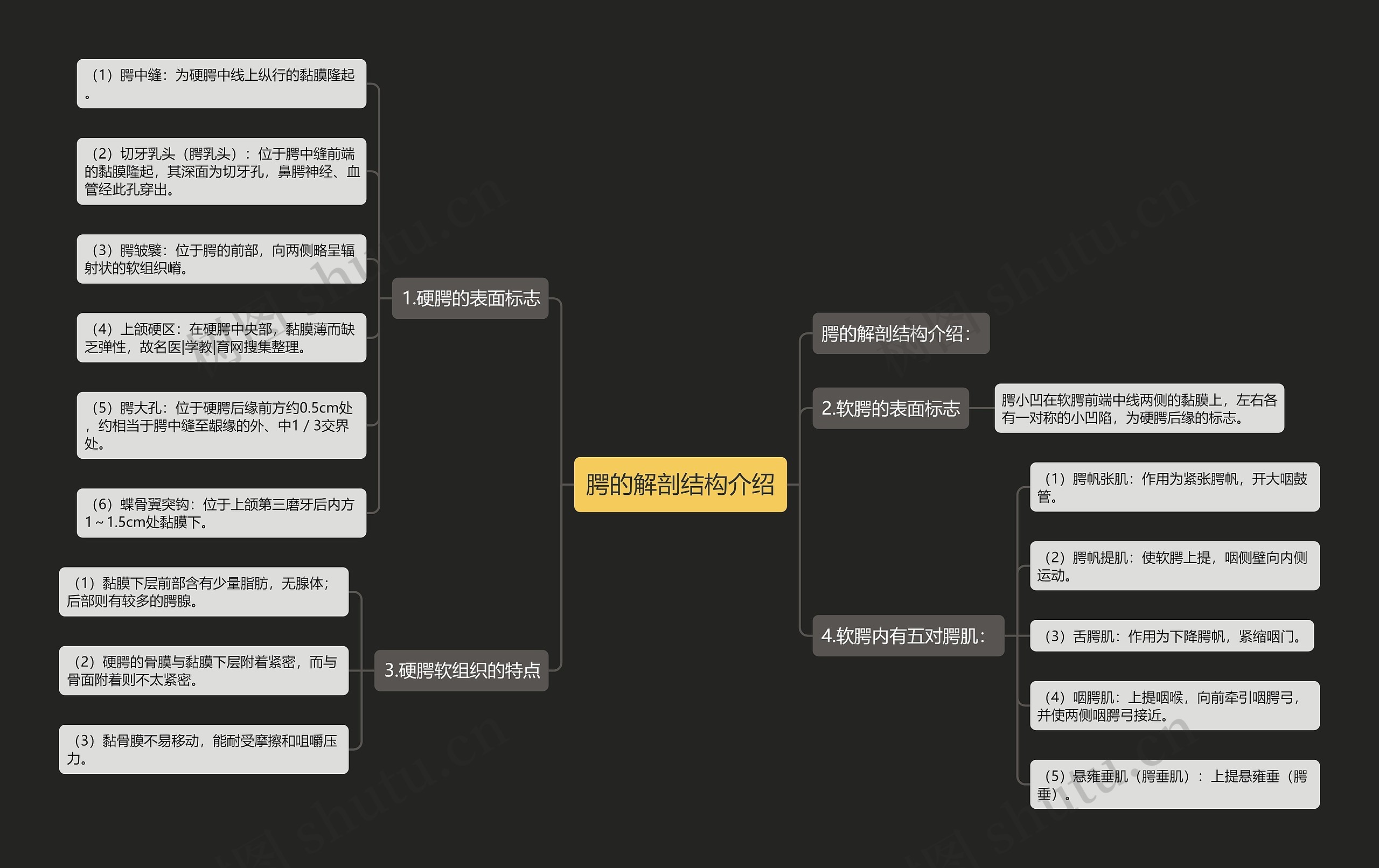 腭的解剖结构介绍 腭的解剖结构介绍