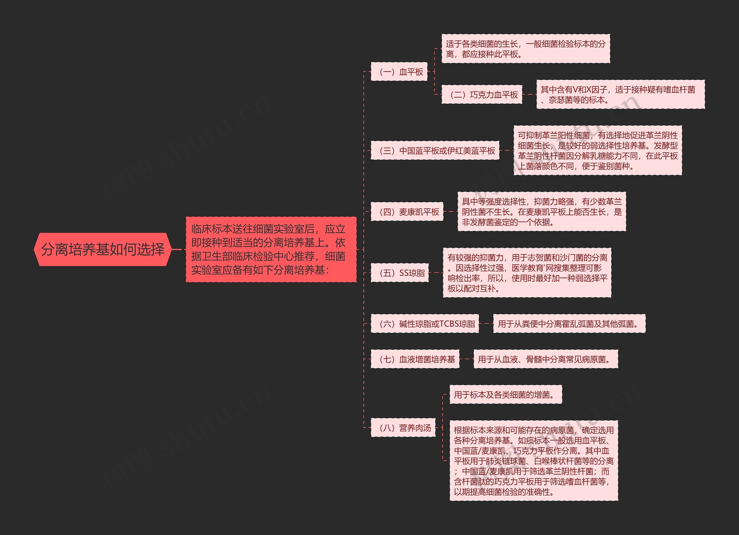 分离培养基如何选择