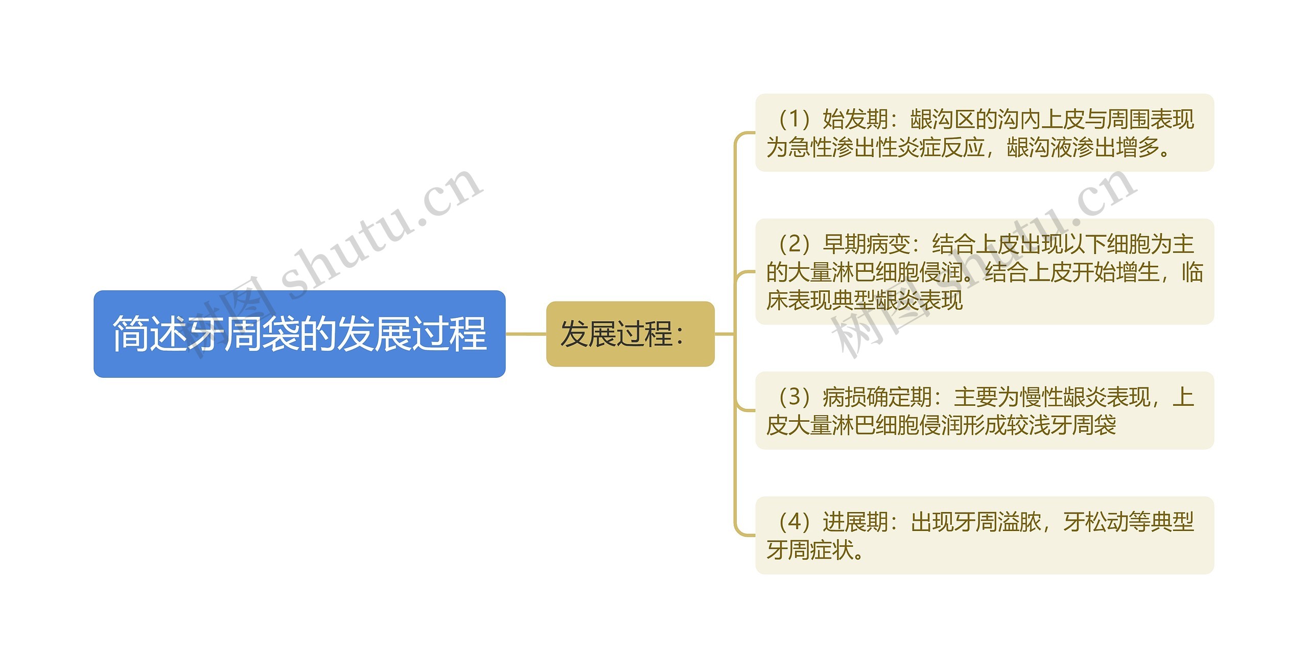 简述牙周袋的发展过程思维导图