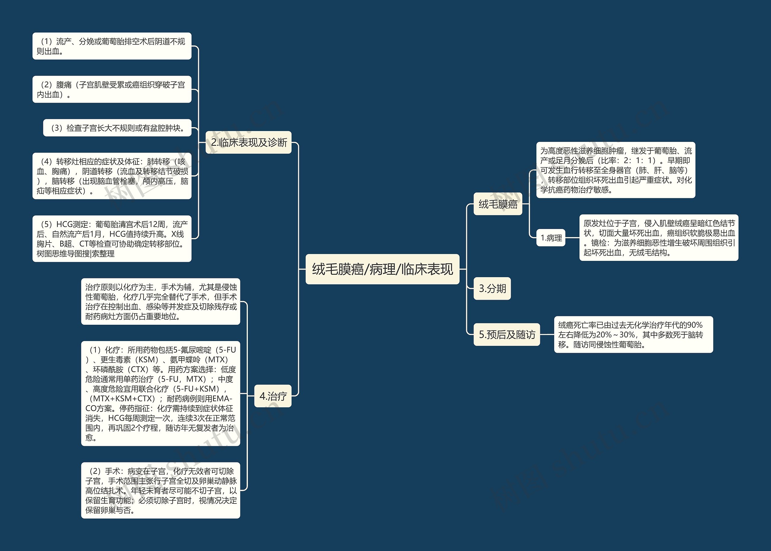 绒毛膜癌/病理/临床表现思维导图