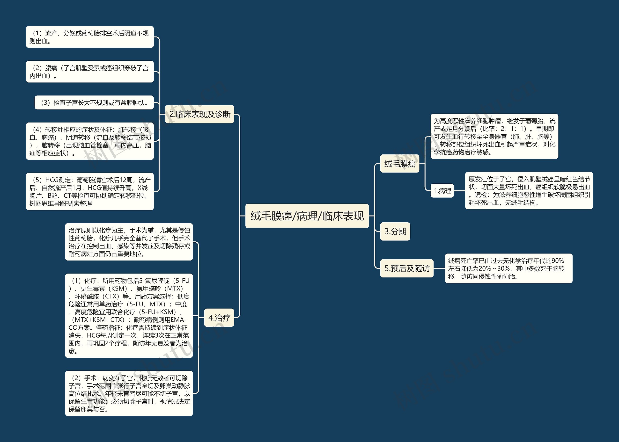 绒毛膜癌/病理/临床表现 绒毛膜癌/病理/临床表现
