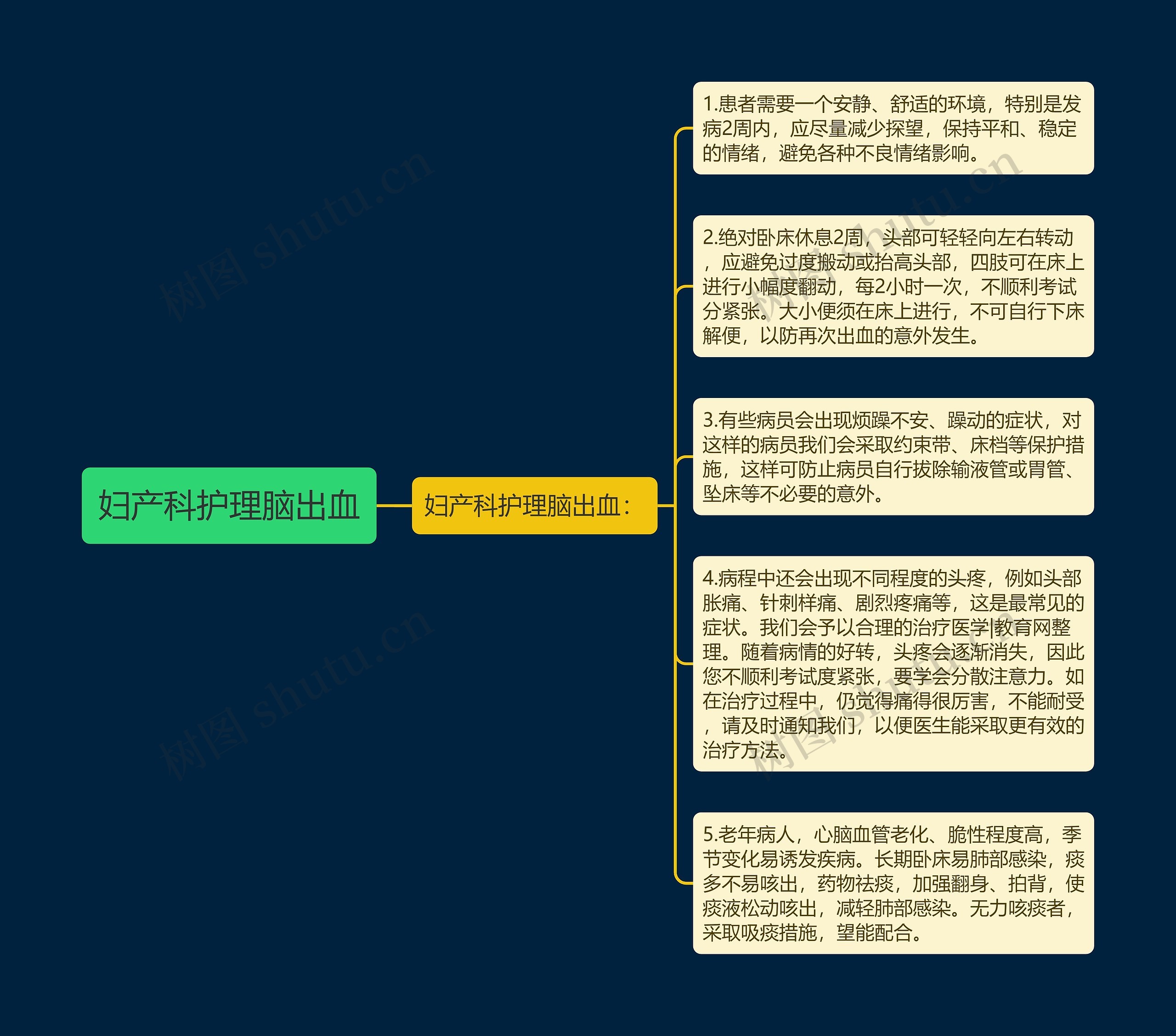 妇产科护理脑出血