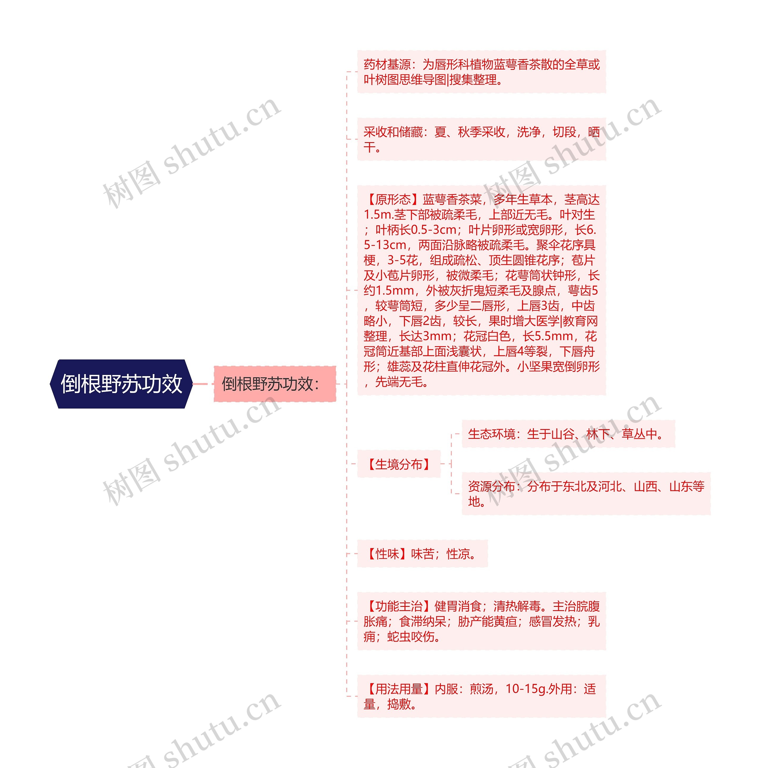 倒根野苏功效思维导图