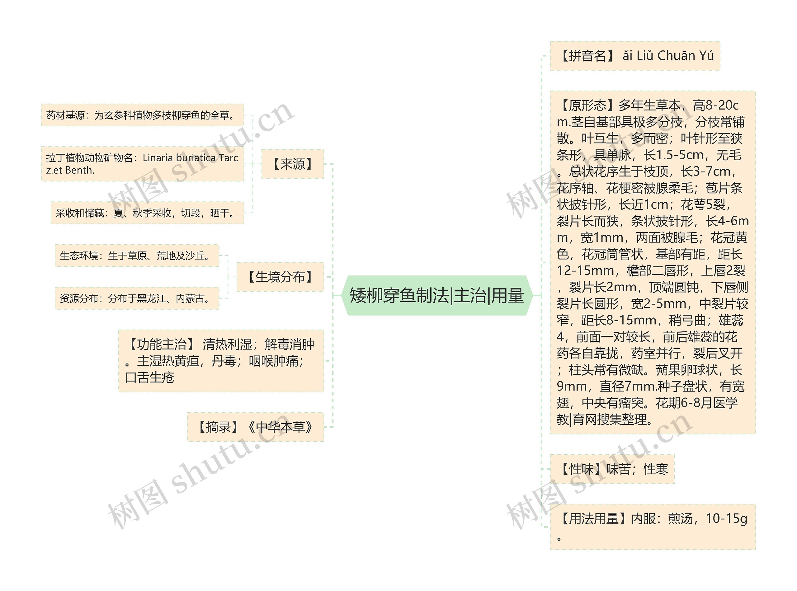 矮柳穿鱼制法|主治|用量思维导图