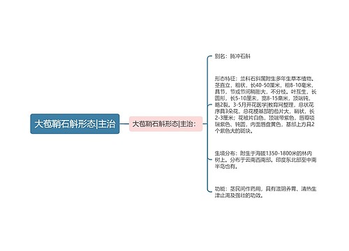 大苞鞘石斛形态|主治