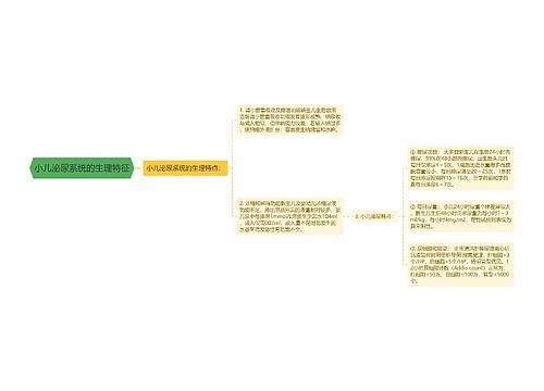 小儿泌尿系统的生理特征