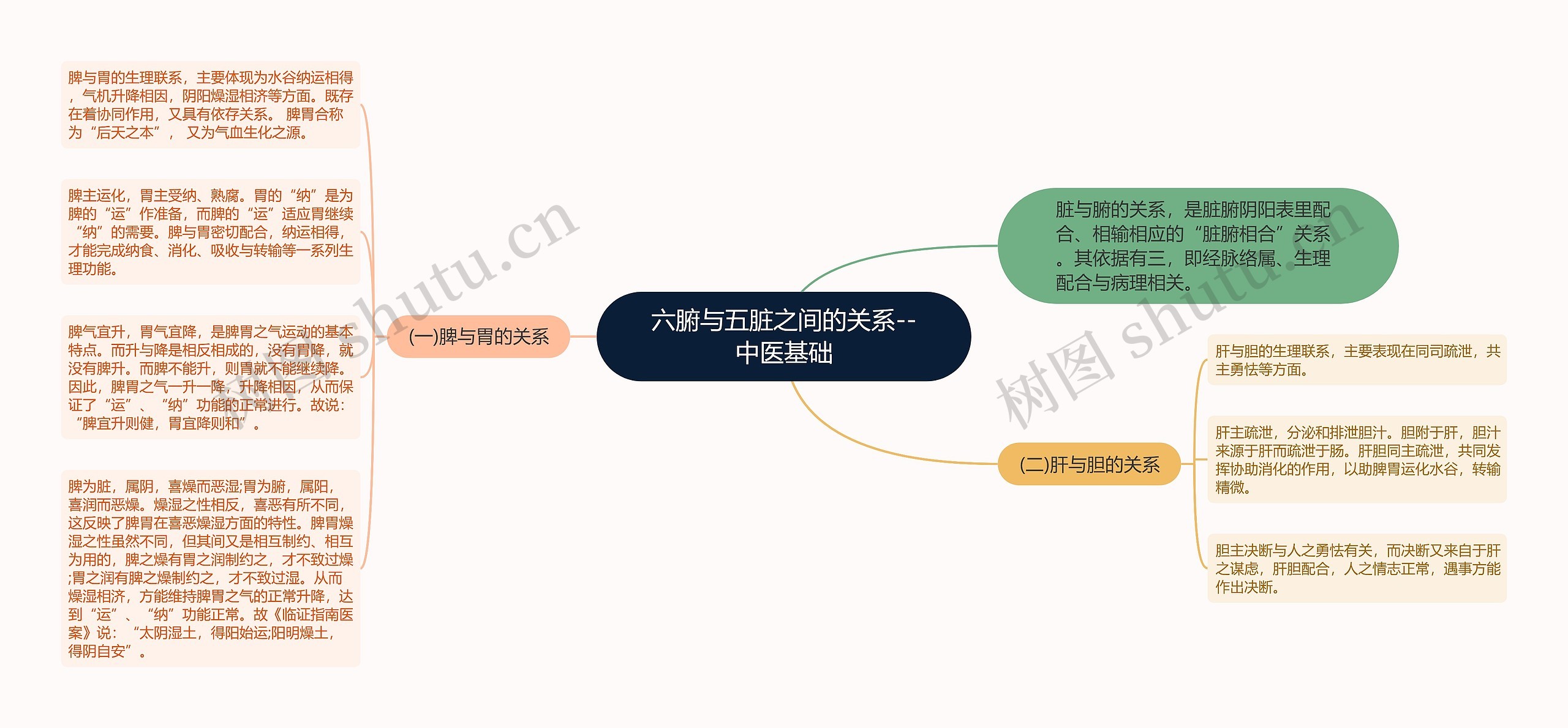 六腑与五脏之间的关系--中医基础思维导图