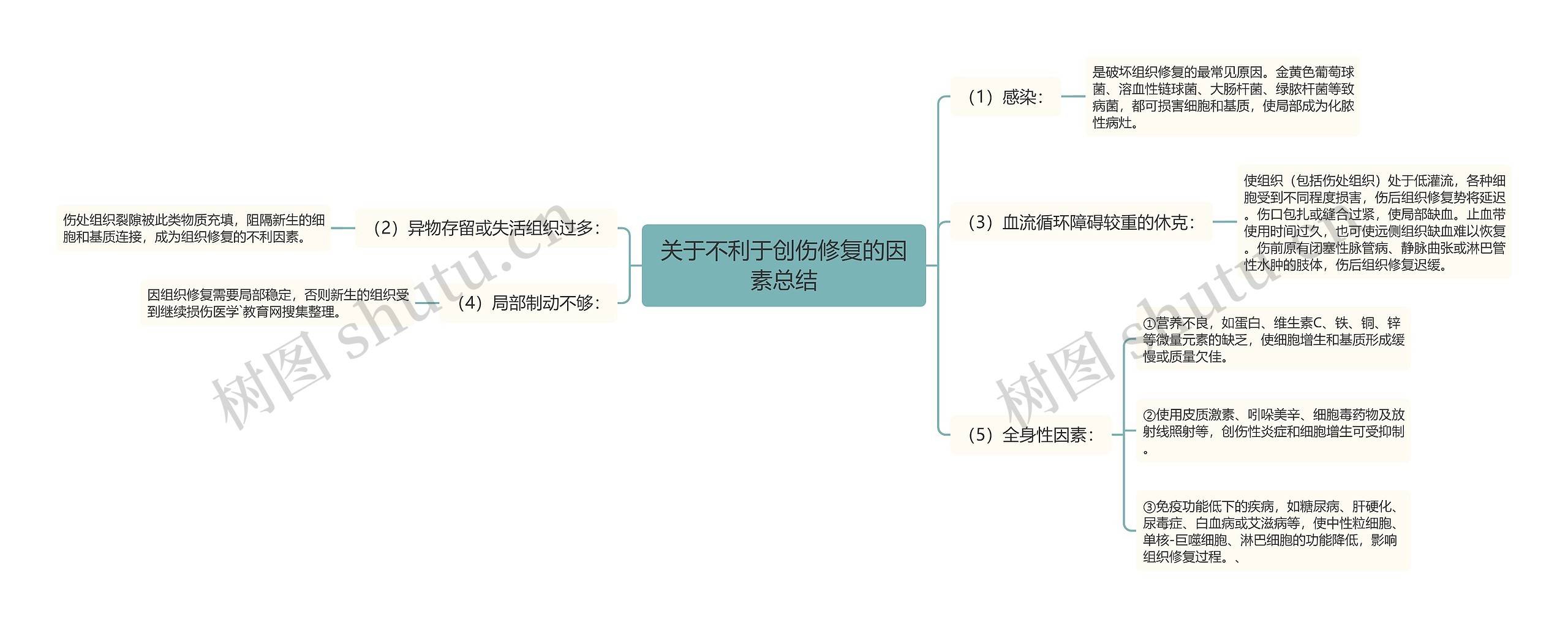 关于不利于创伤修复的因素总结思维导图