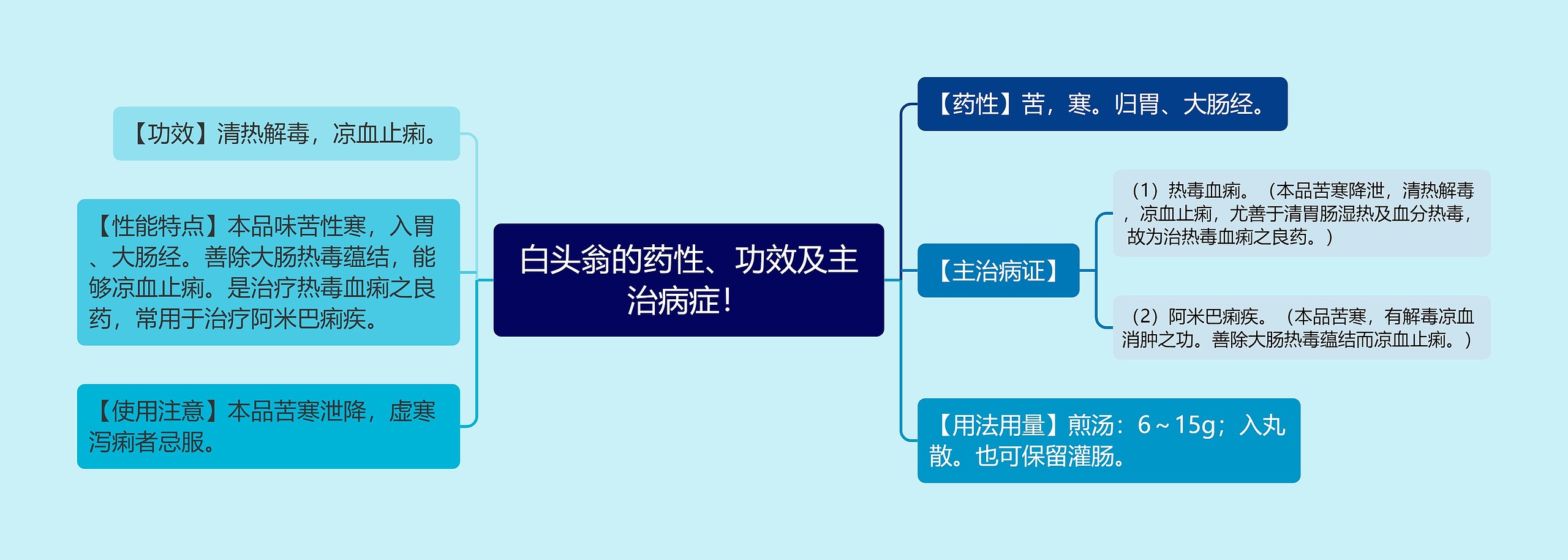 白头翁的药性、功效及主治病症！思维导图