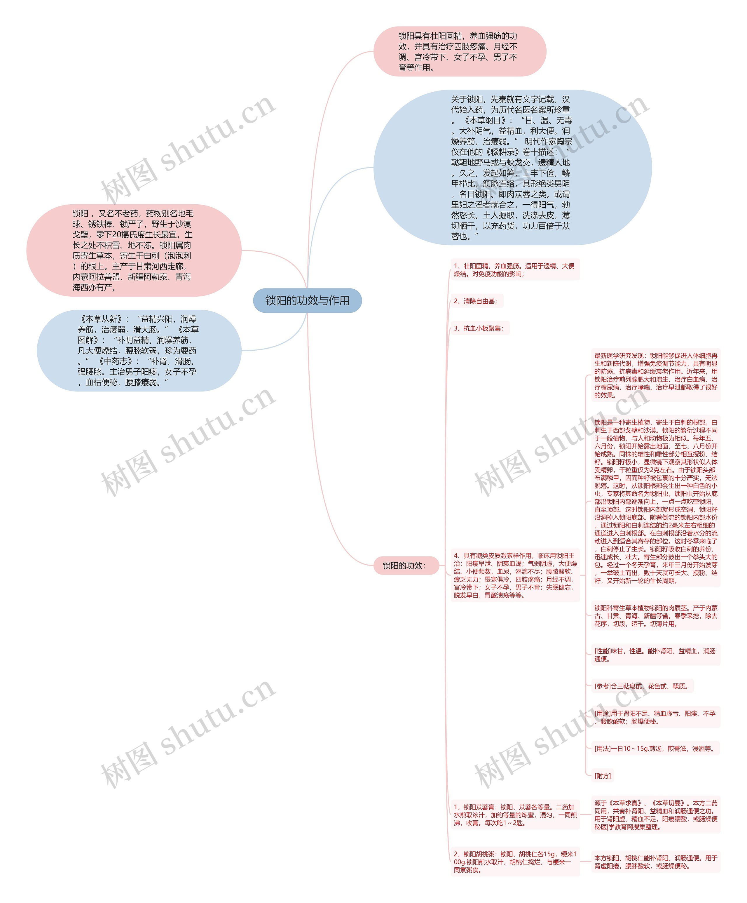 锁阳的功效与作用思维导图
