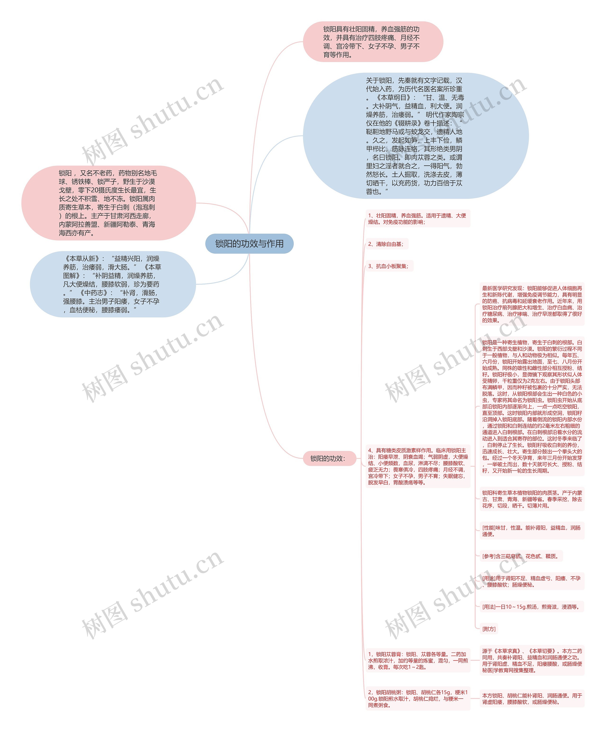 锁阳的功效与作用 锁阳的功效与作用