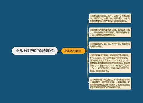 小儿上呼吸道的解剖系统