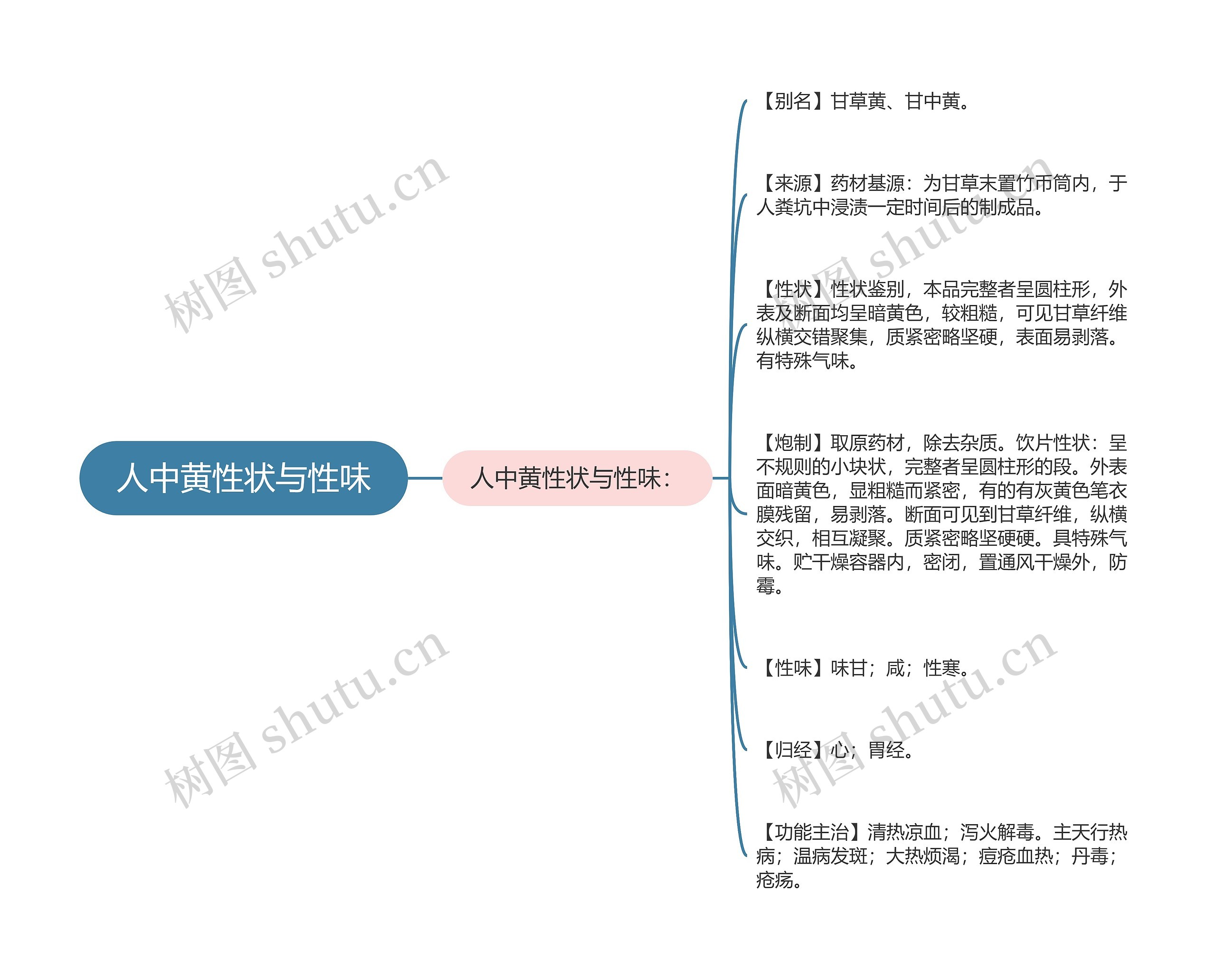 人中黄性状与性味思维导图