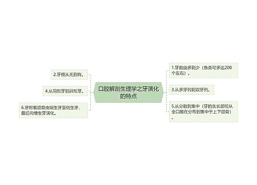 口腔解剖生理学之牙演化的特点