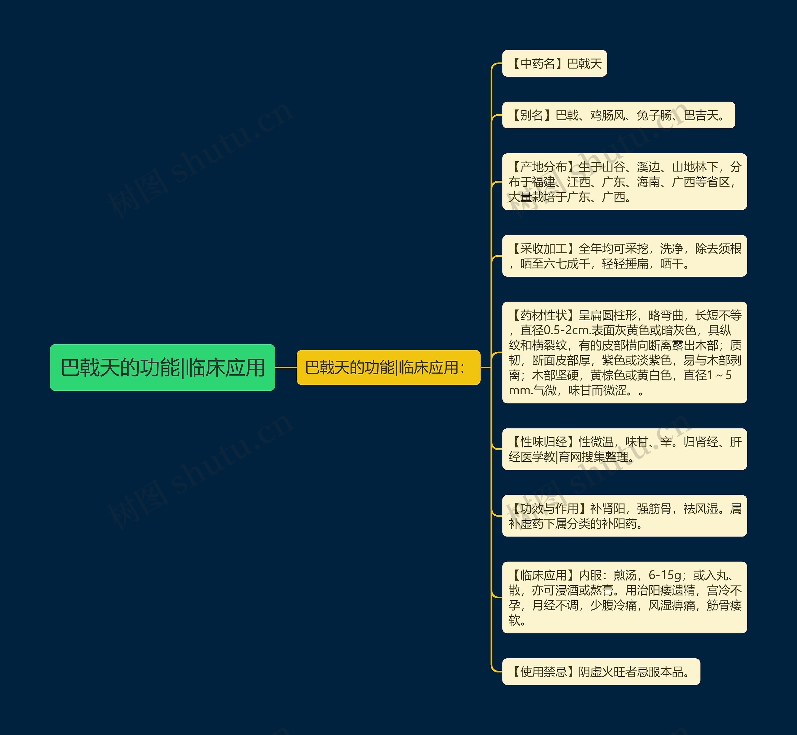 巴戟天的功能|临床应用思维导图