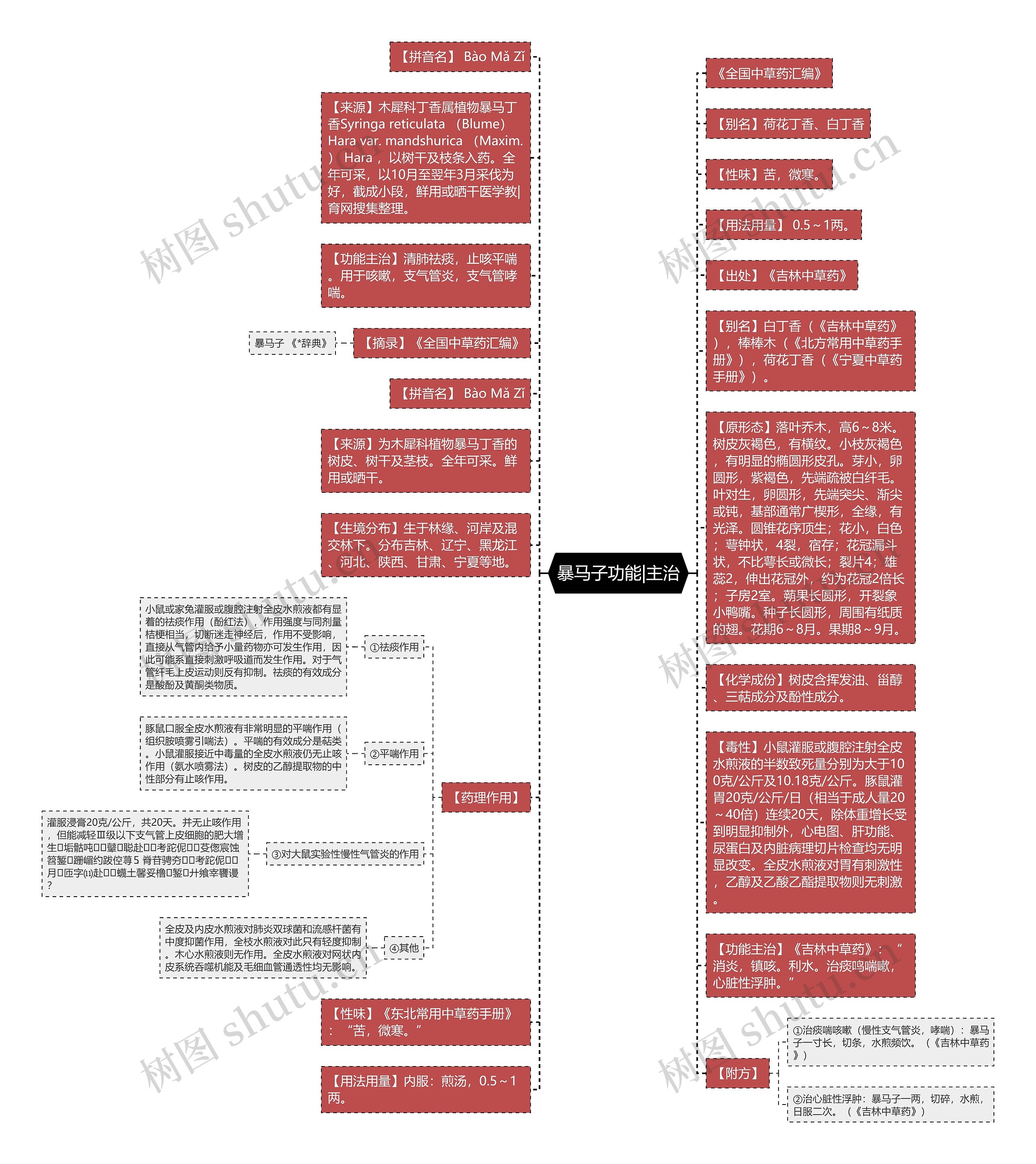 暴马子功能|主治思维导图