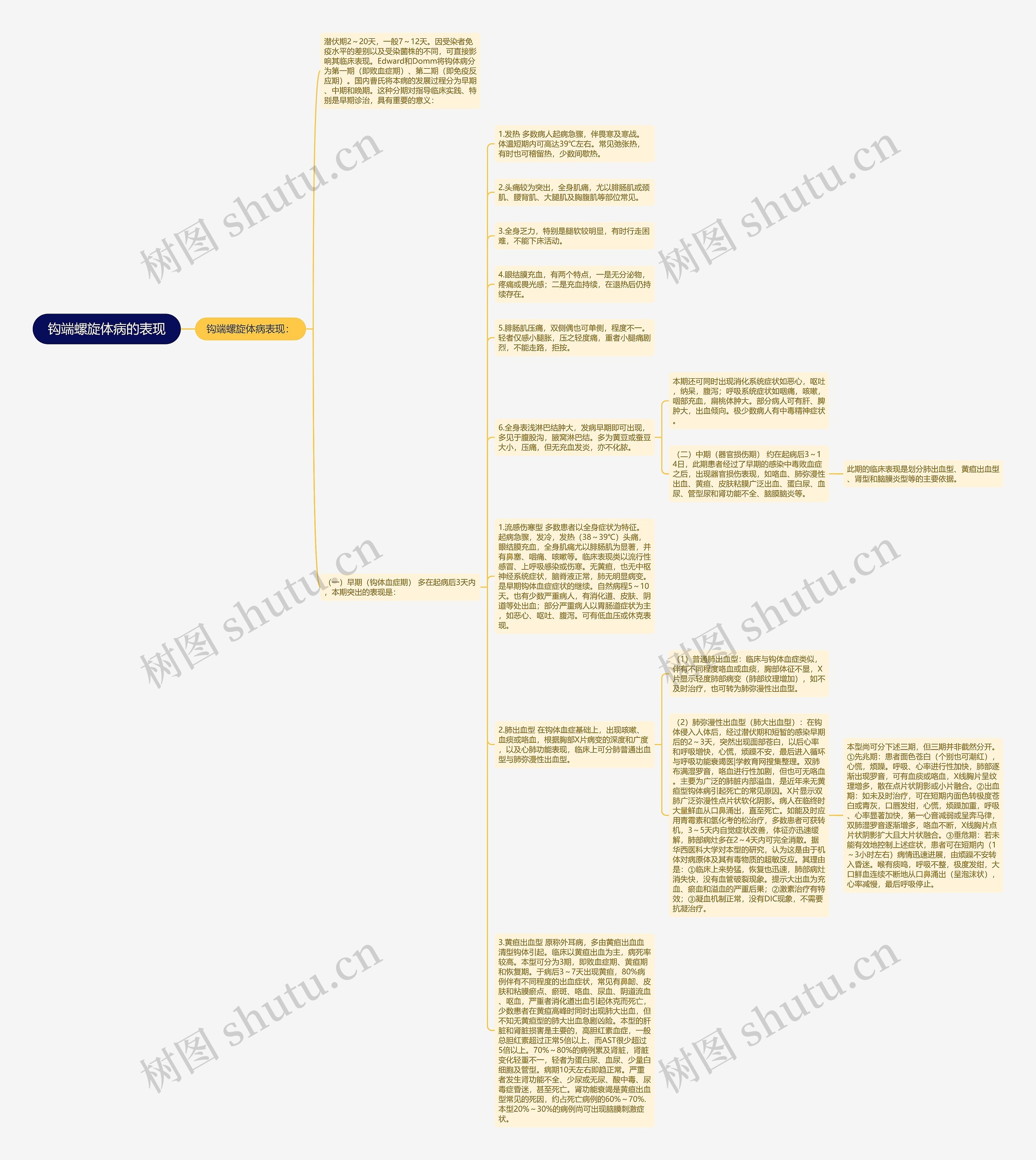 钩端螺旋体病的表现思维导图