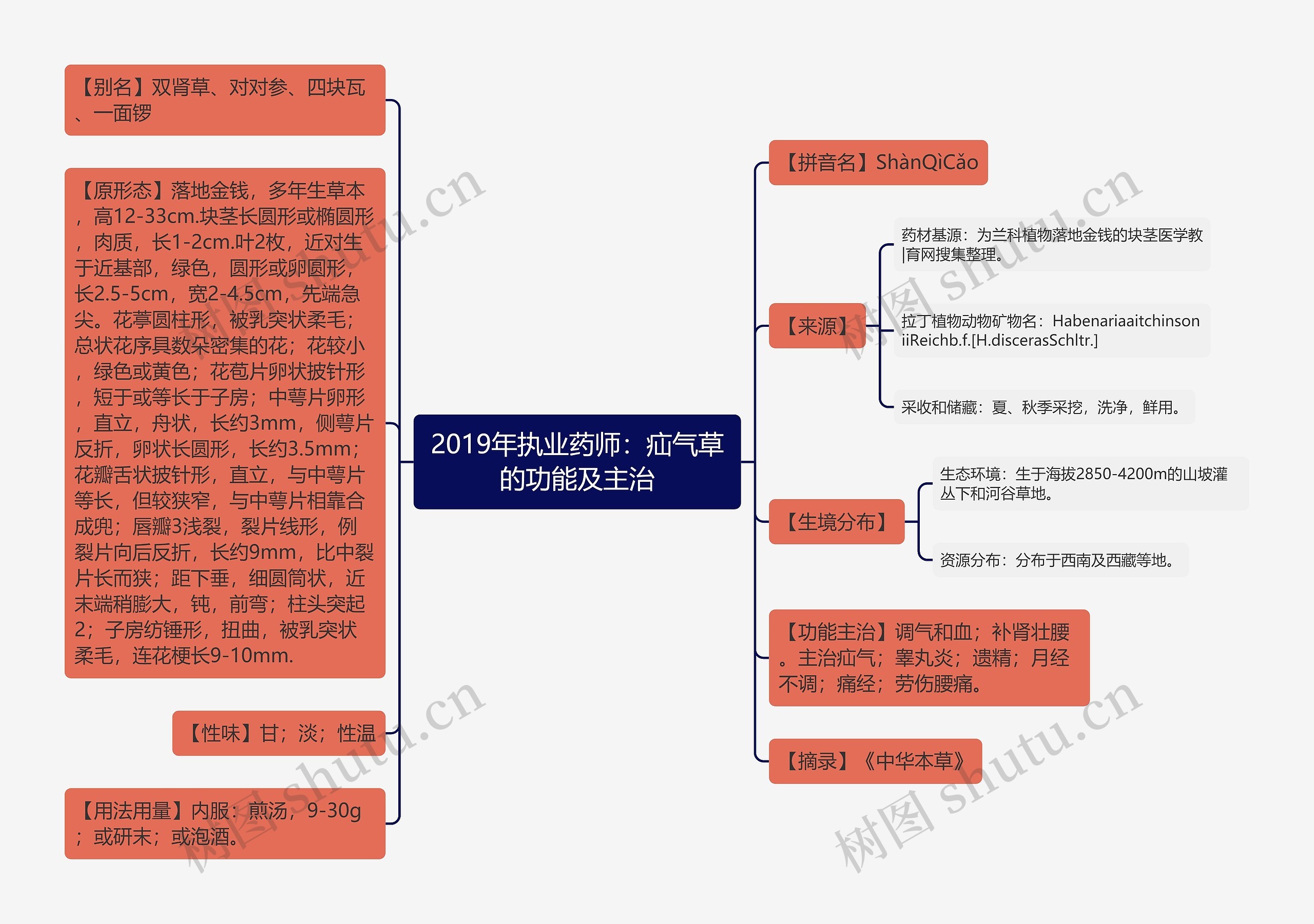 2019年执业药师：疝气草的功能及主治