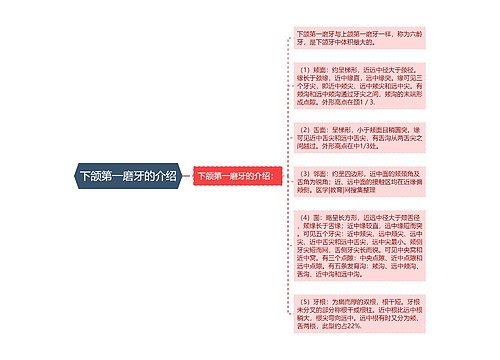 下颌第一磨牙的介绍