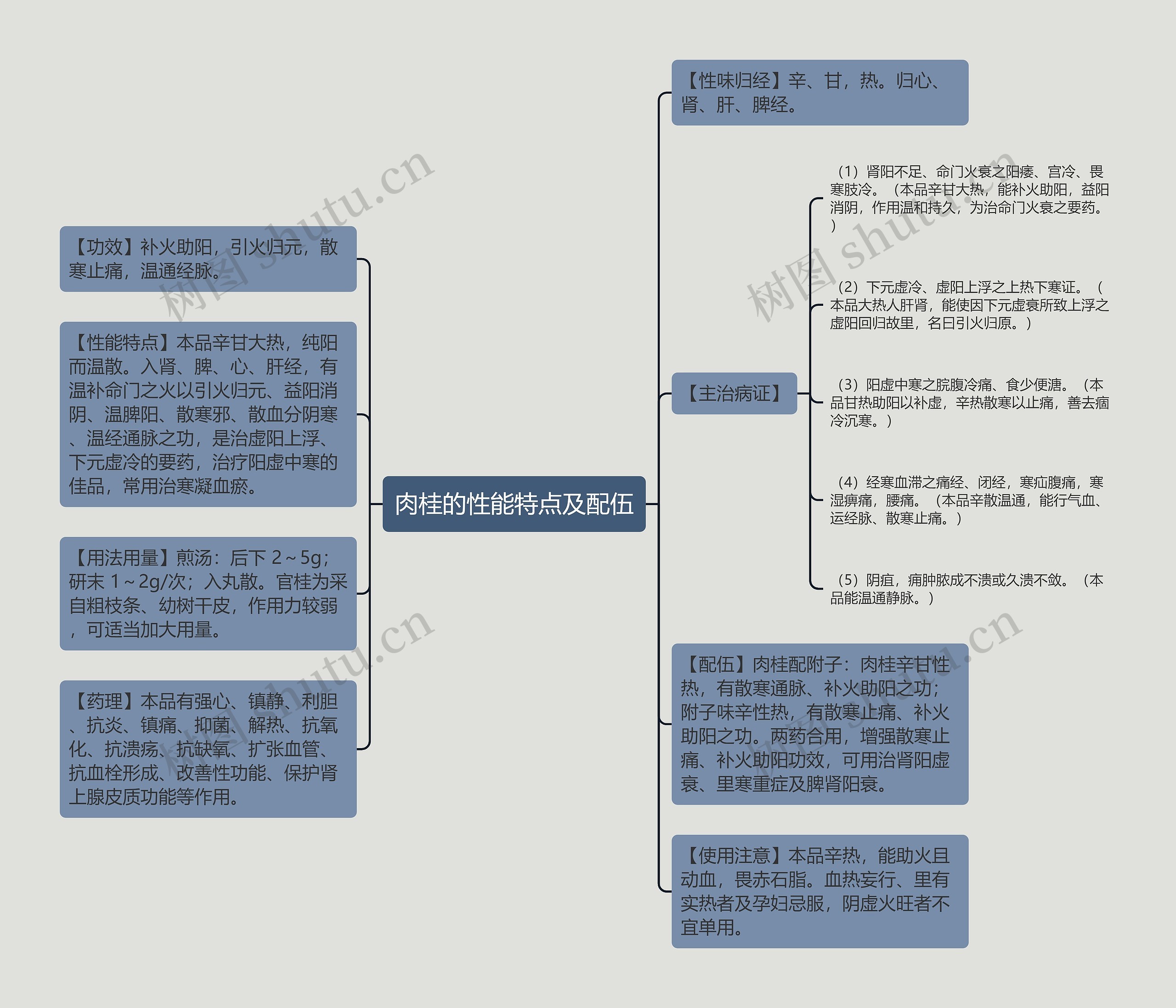 肉桂的性能特点及配伍思维导图