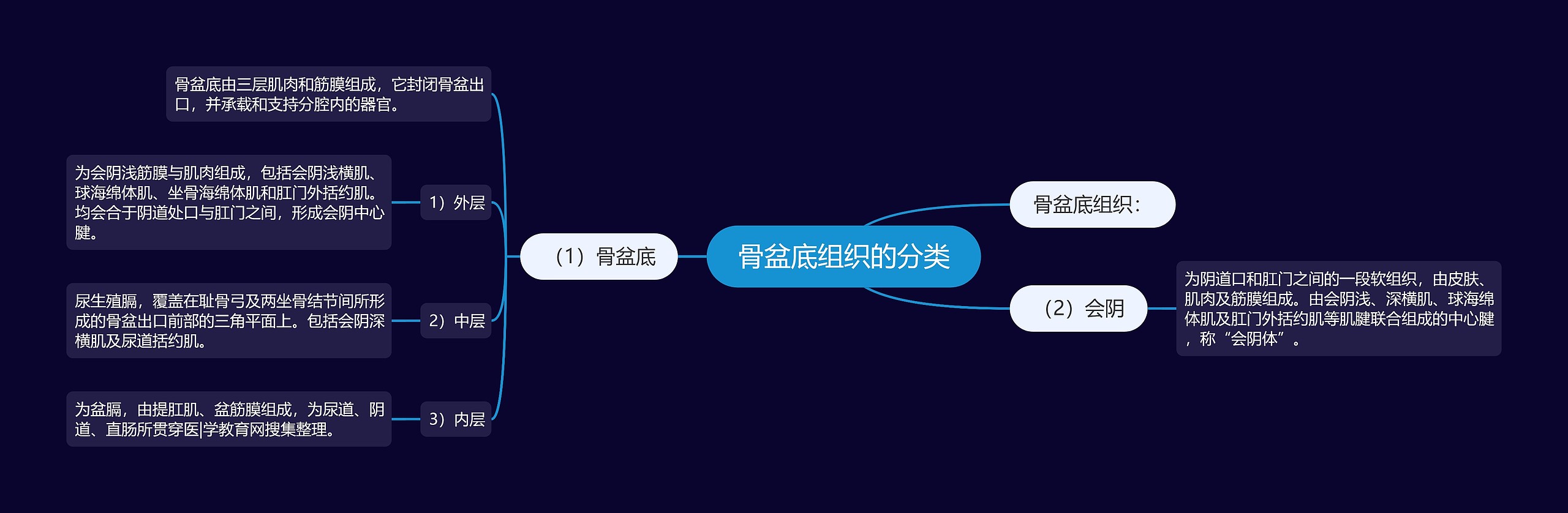 骨盆底组织的分类思维导图