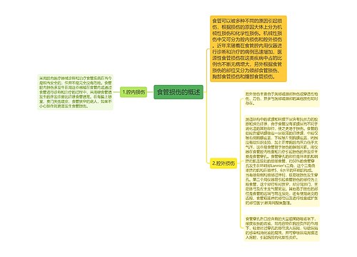 食管损伤的概述