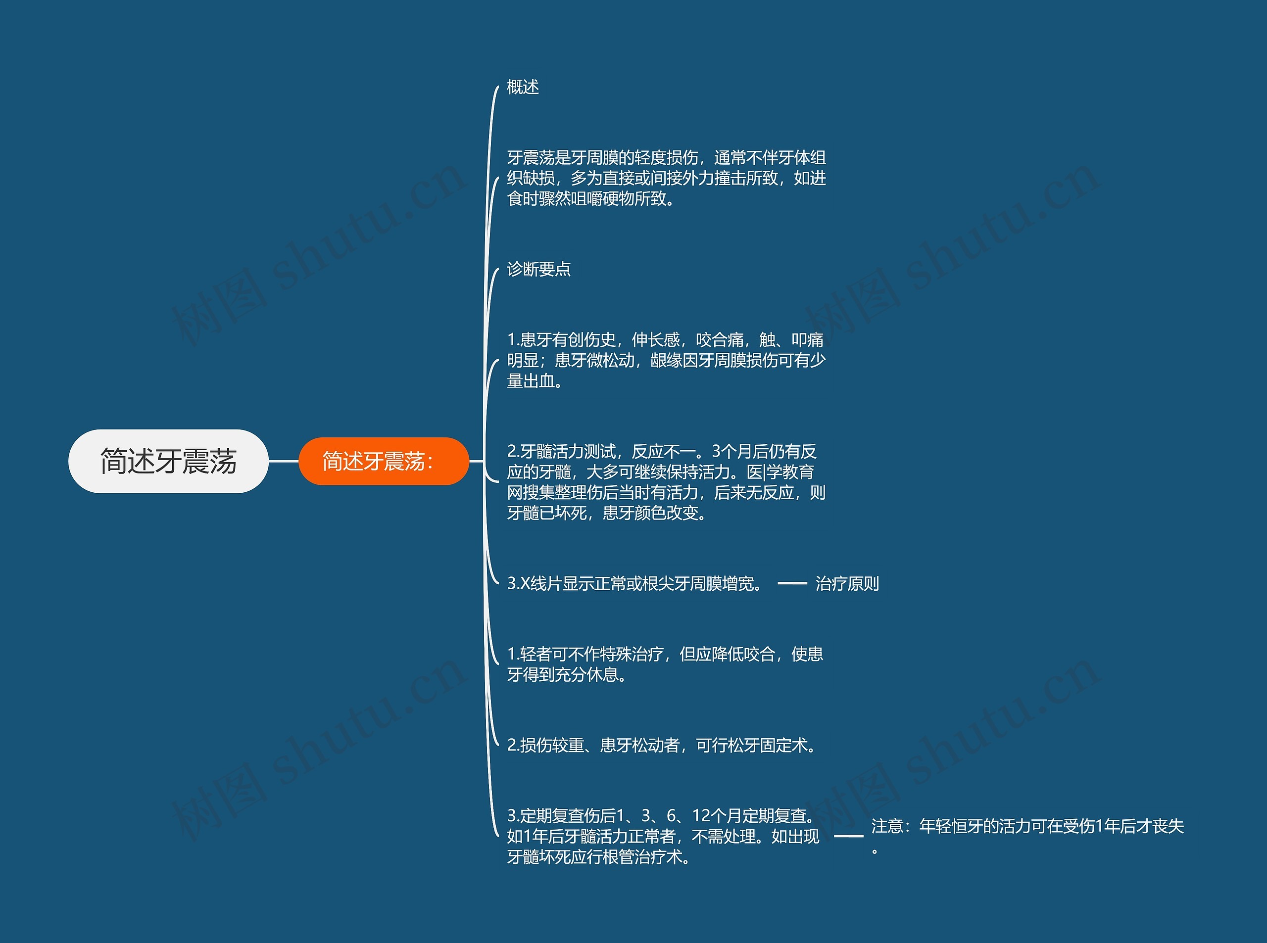 简述牙震荡思维导图