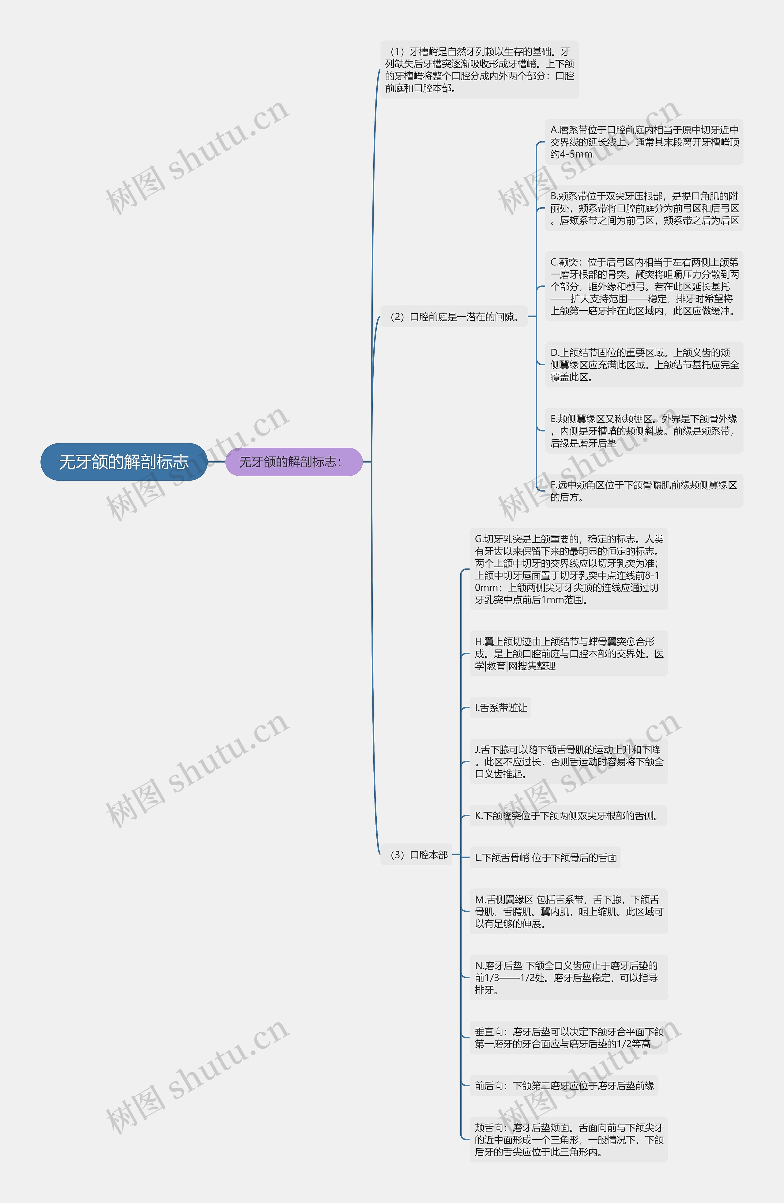 无牙颌的解剖标志