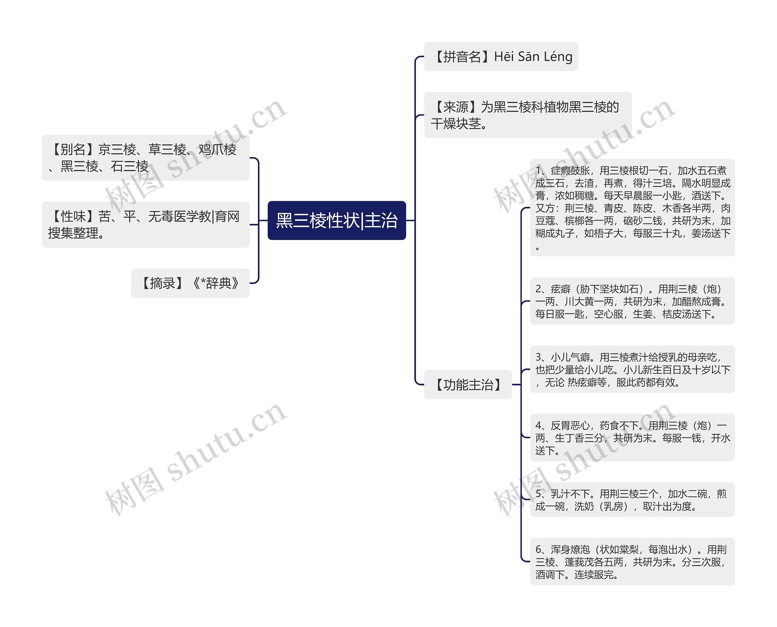 黑三棱性状|主治思维导图