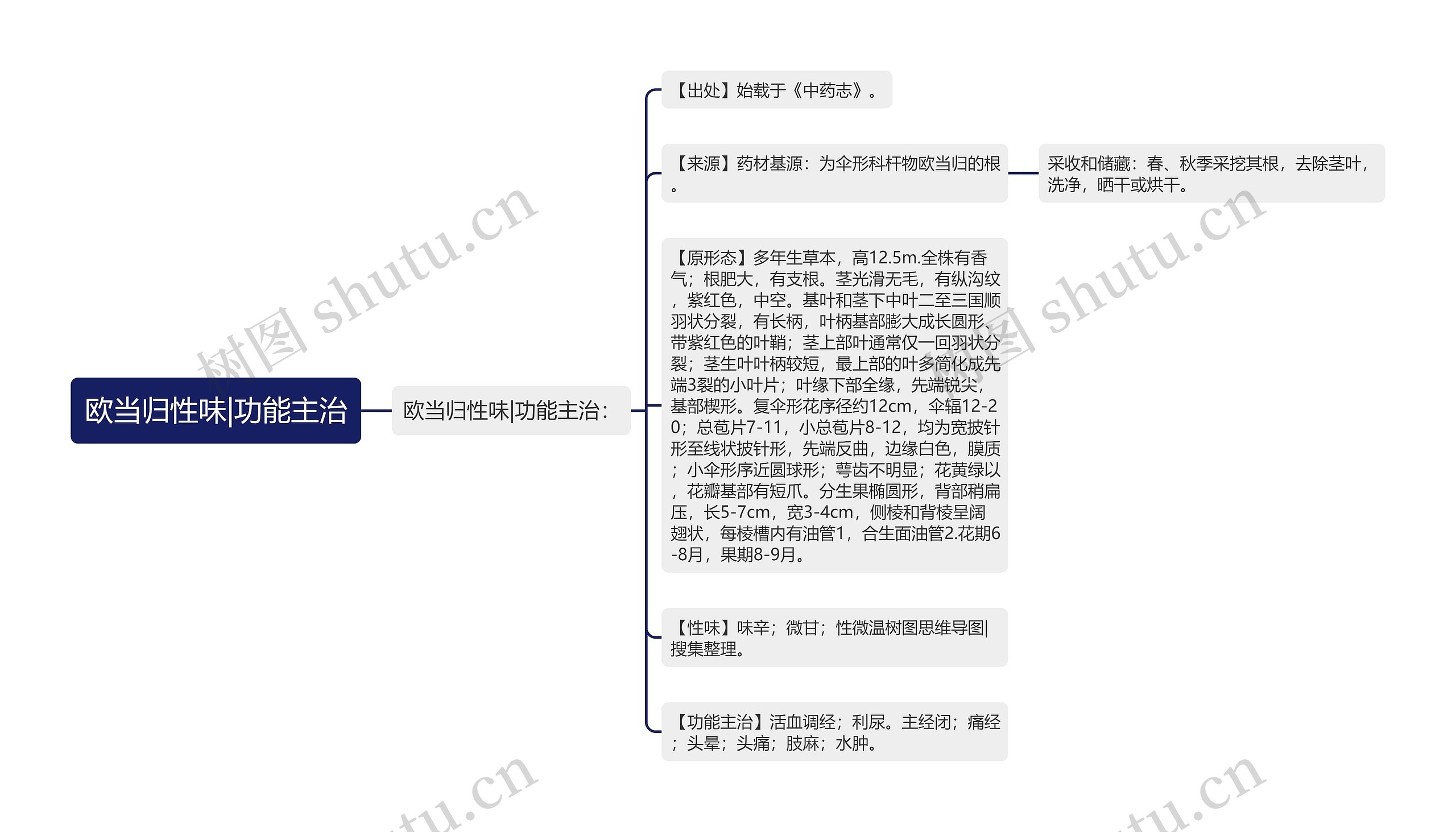 欧当归性味|功能主治思维导图