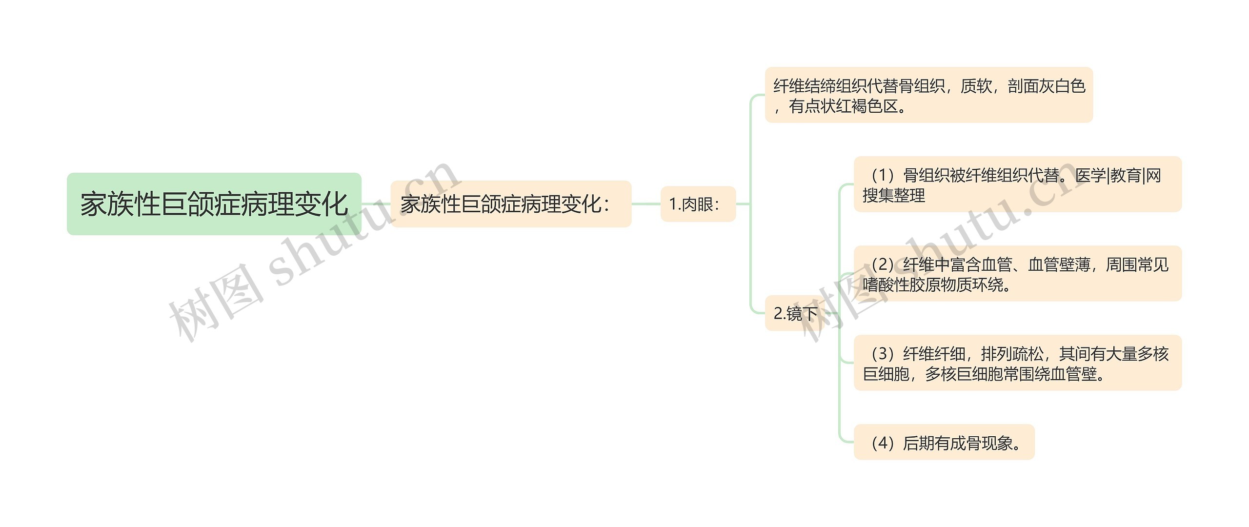 家族性巨颌症病理变化思维导图