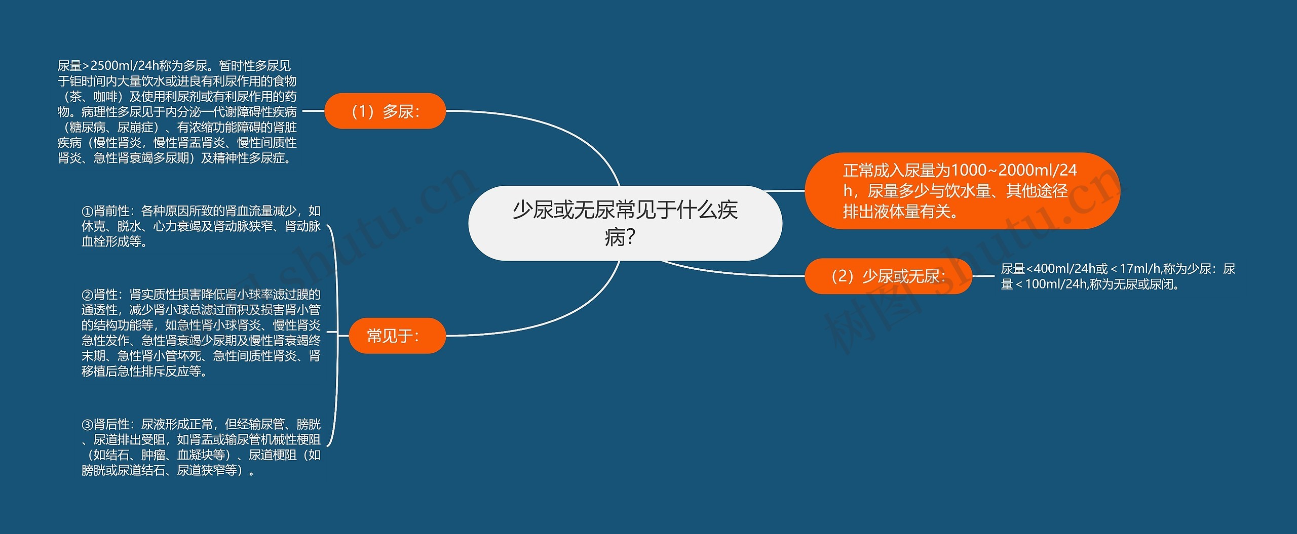 少尿或无尿常见于什么疾病? 少尿或无尿常见于什么疾病?