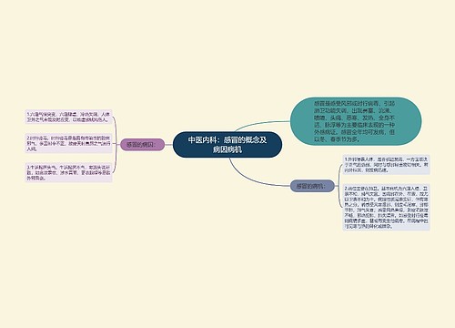 中医内科：感冒的概念及病因病机