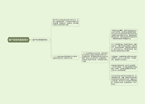 围产期用药原则简介