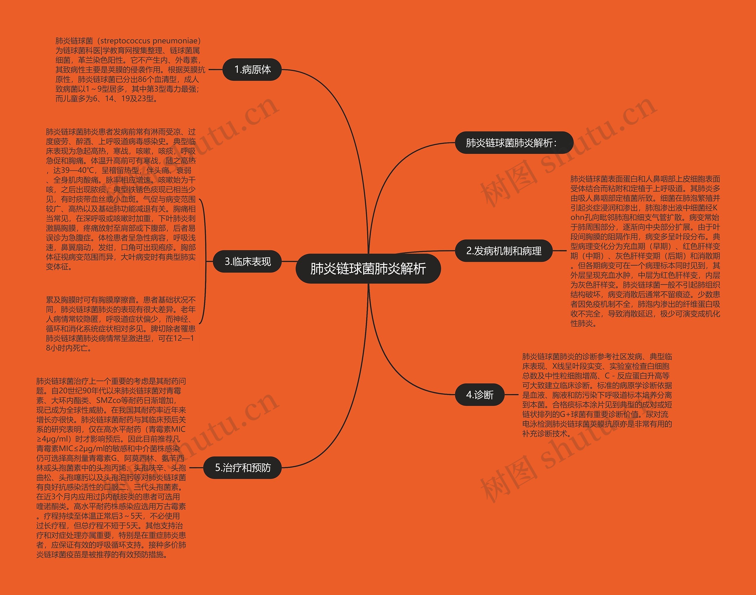 肺炎链球菌肺炎解析 肺炎链球菌肺炎解析