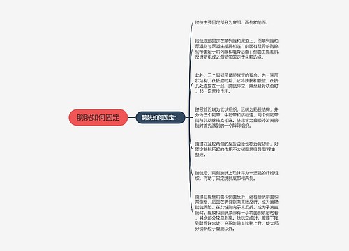 膀胱如何固定