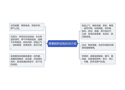 表寒肺热证知识点介绍