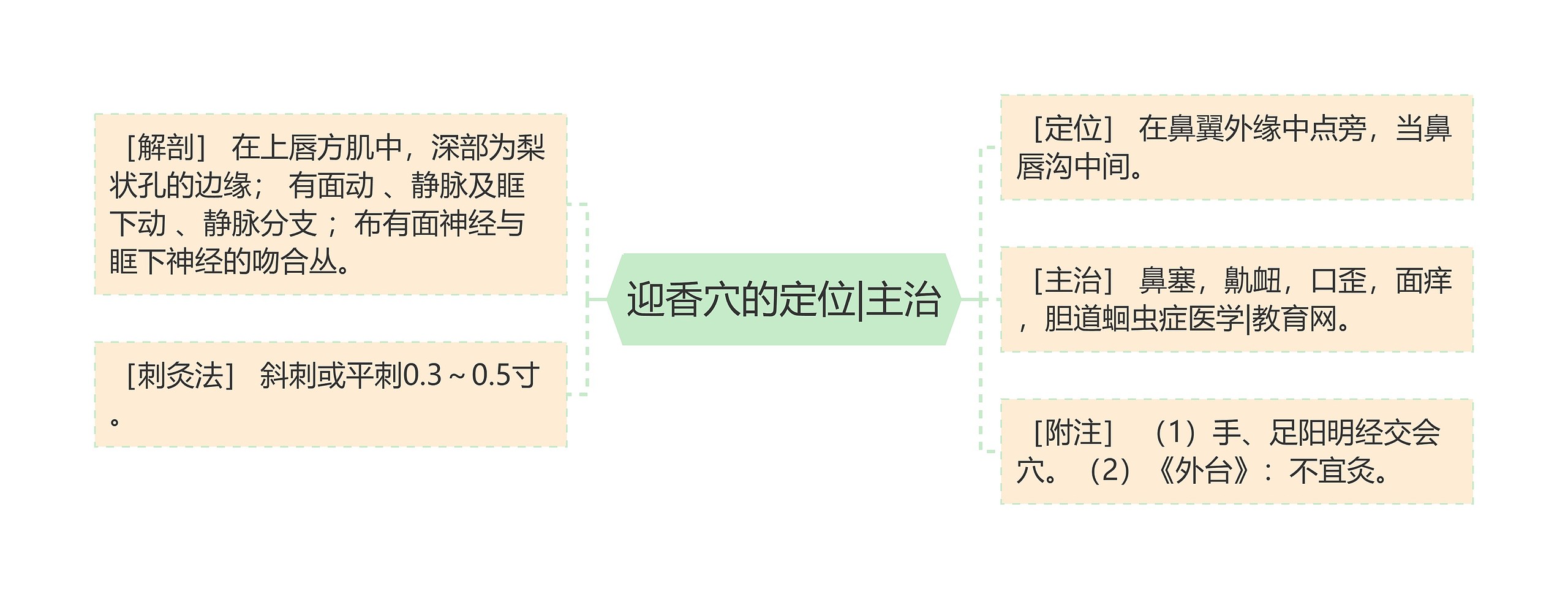 迎香穴的定位|主治思维导图