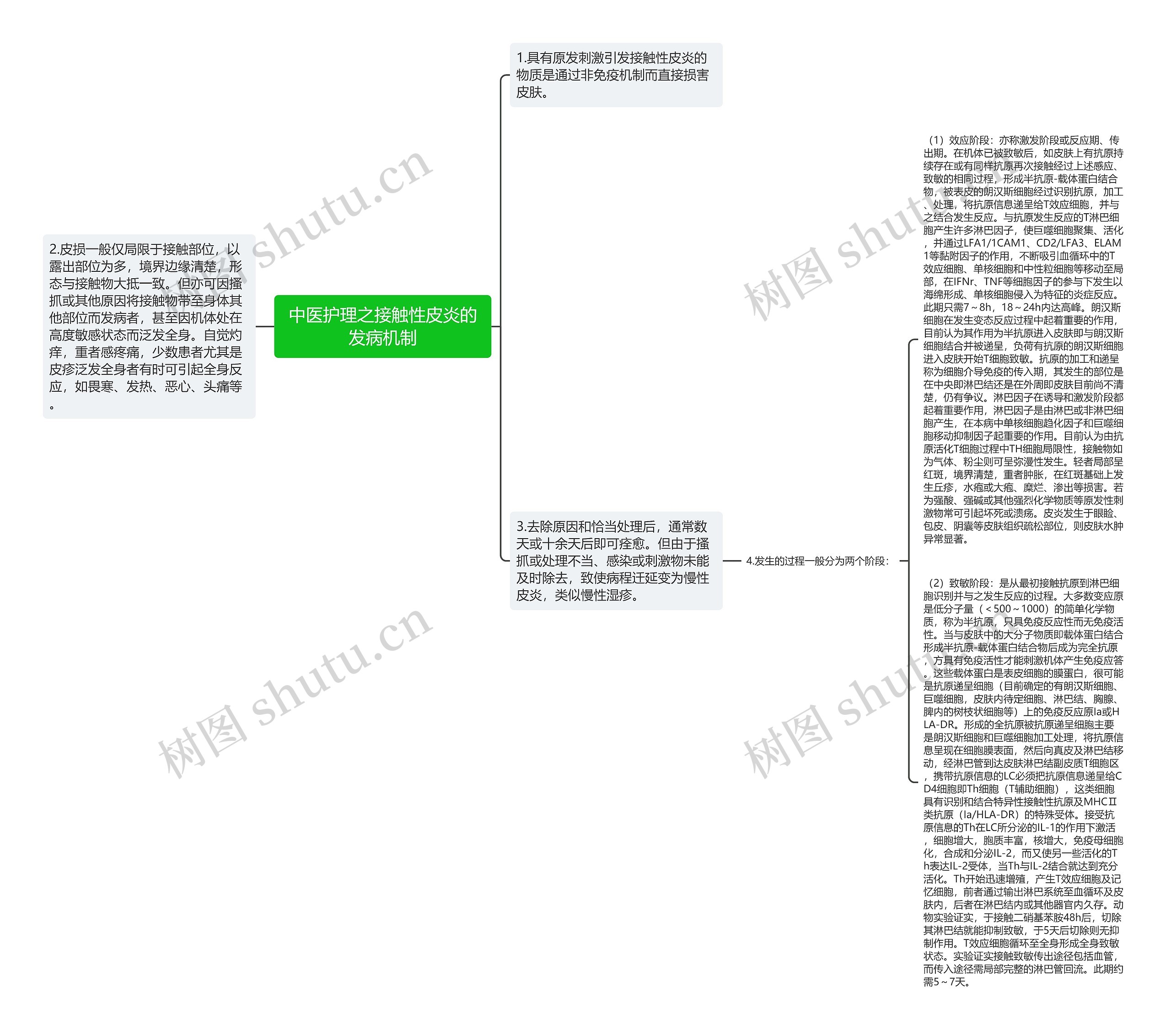 中医护理之接触性皮炎的发病机制 中医护理之接触性皮炎的发病机制