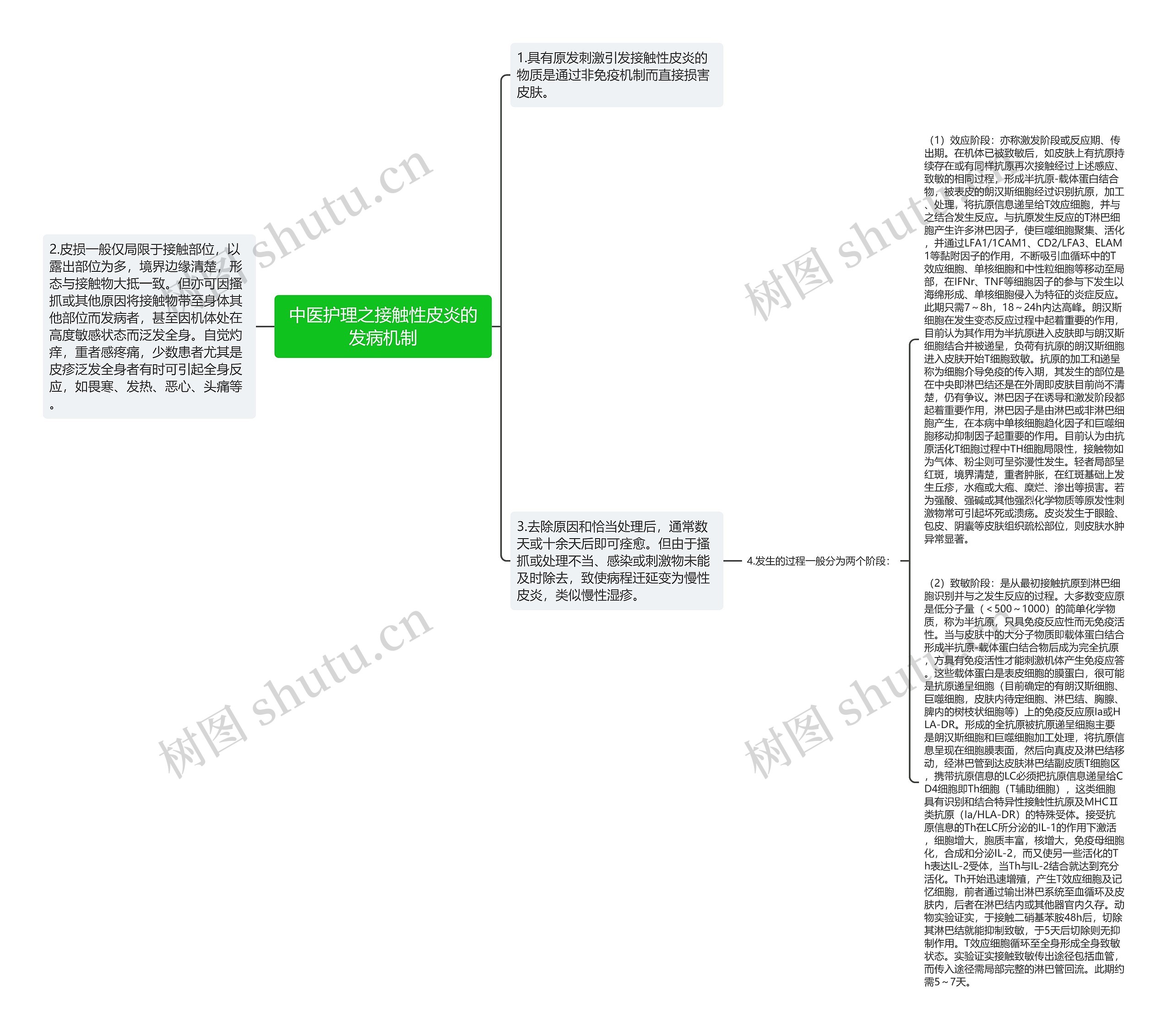 中医护理之接触性皮炎的发病机制思维导图