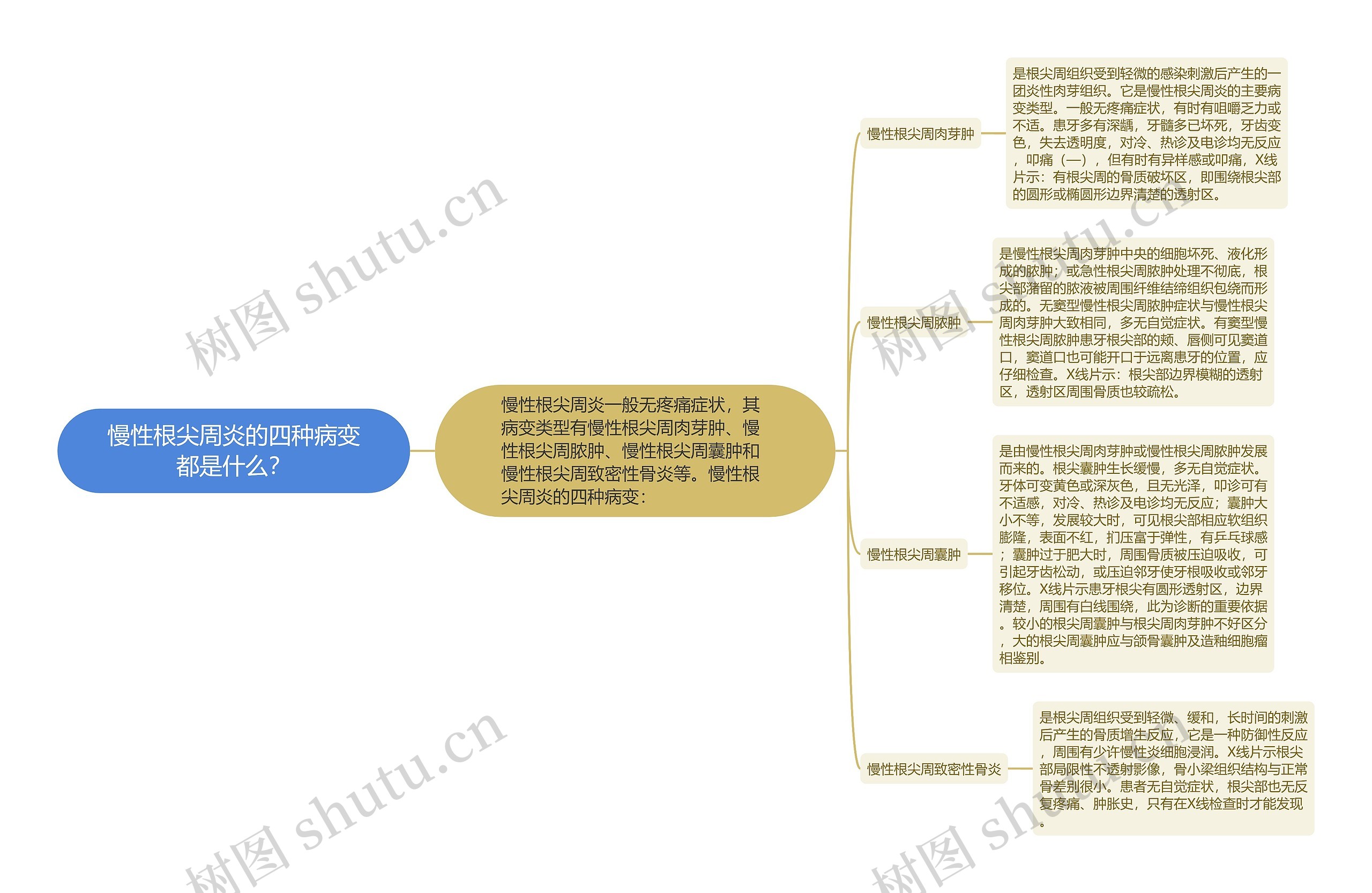 慢性根尖周炎的四种病变都是什么？