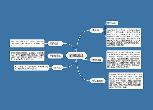 表情肌概述