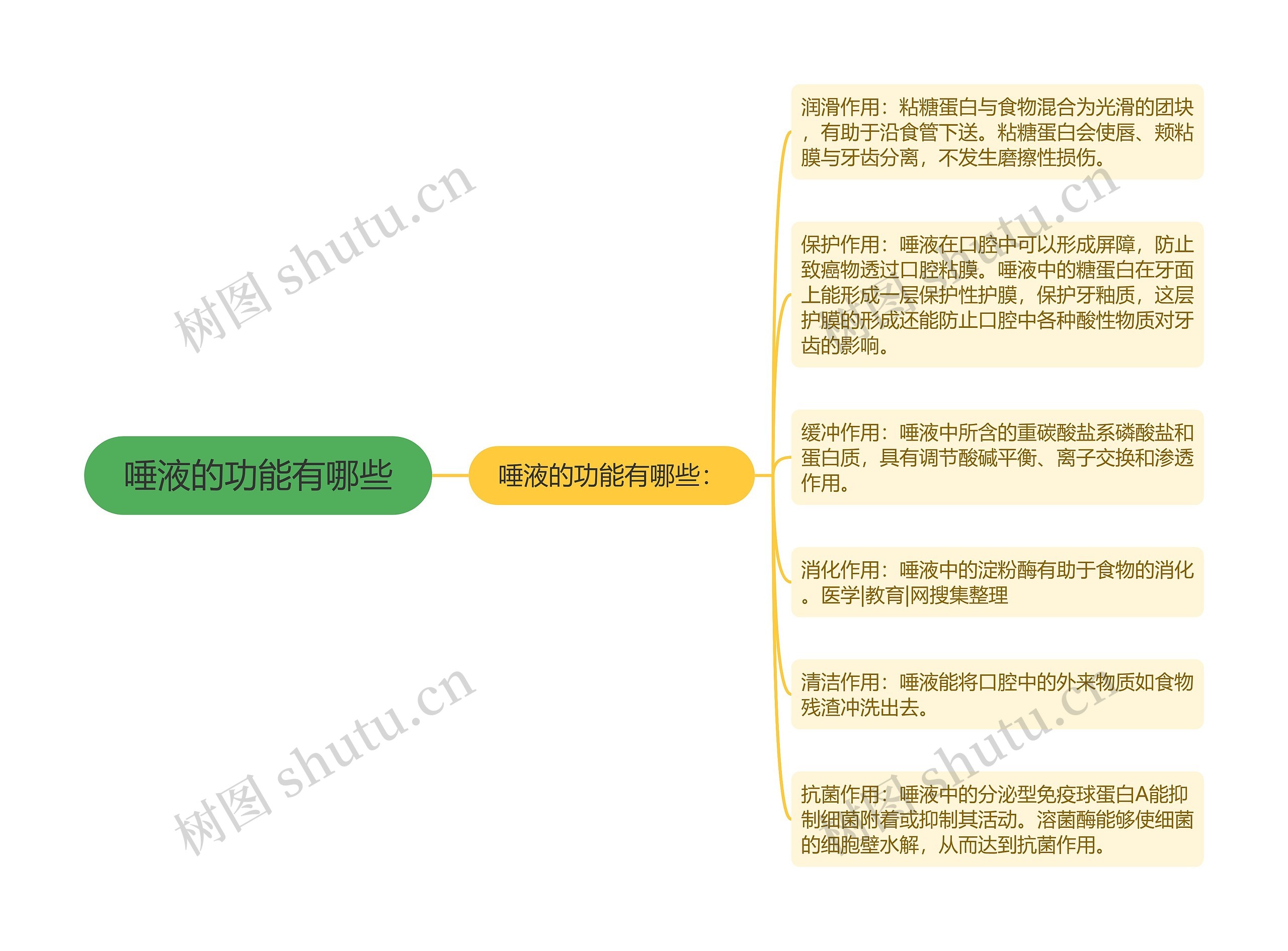 唾液的功能有哪些思维导图