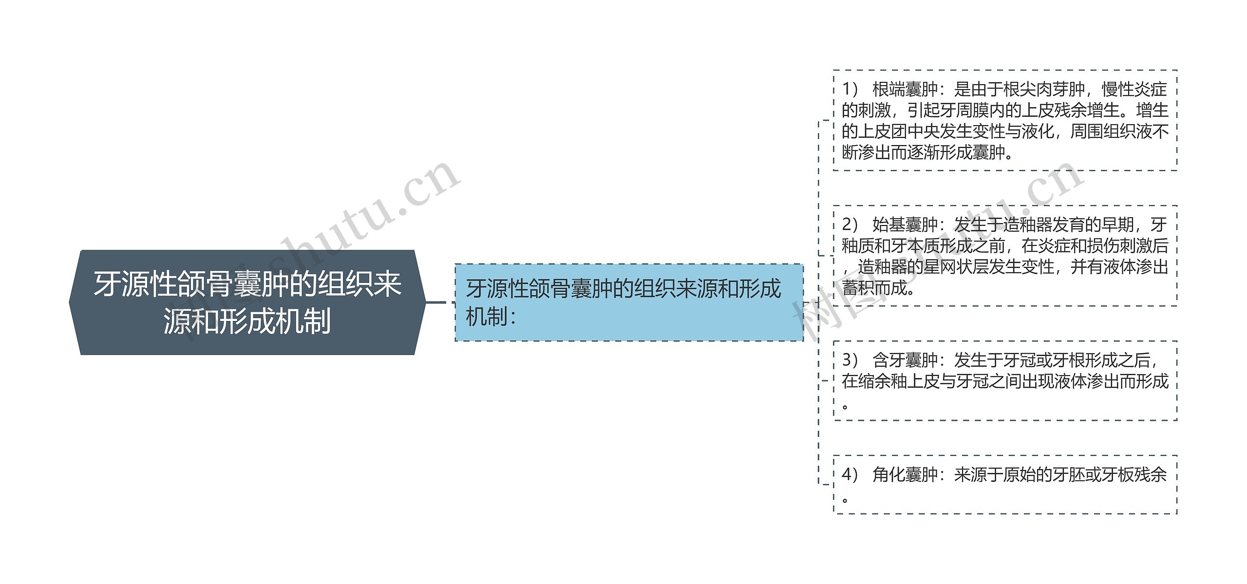 牙源性颌骨囊肿的组织来源和形成机制